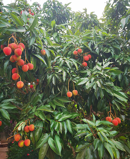 浙江嘉越建设有限公司