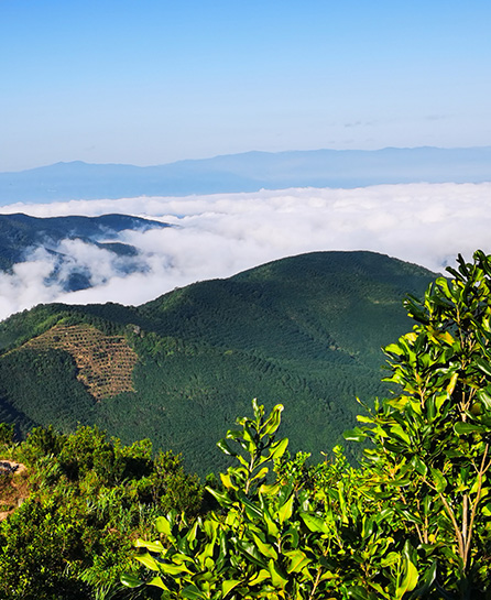 浙江嘉越建设有限公司