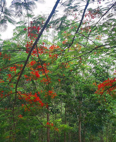 浙江嘉越建设有限公司